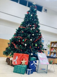 クリスマスツリーを飾付！！☆彡